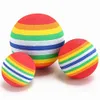 Nuevos juguetes para perros Juguetes de pelota interactivos para perros Bolas de colores Juguete para masticar Todas las estaciones Suministros para mascotas Juegos para perros Juguete Gato Productos para mascotas HZ0006