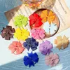 Other 1Piece Colorful Mini Hair Bands For Cute Girls Rubber Hair Rope Holder Kids Hair Accessories