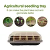 Planters Seedling Trays Seed Starter Plant Flower Grow Box For Gardening Starting Germination Tray