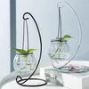 Vases Vase en verre hydroponique Transparent suspendu créatif avec pot de fleurs Aquarium d'ananas vert Simple petite bouteille moderne