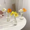 Wazony kryształowy kwiat kwiatowy bąbelkowy szklany butelka przezroczystą hydroponiczną sztukę sztuki magazyn stołowy wystrój domu
