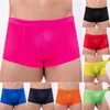 Underpants Men Sexy Mesh Boxer Trunks See Through Underwear Male Breathable Panties Transparent Shorts Bulge Pouch Knicker