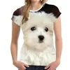 Hiphop sportkläder punk casual sommar kvinna cool utskrift djuret vackra hund 3d t-shirt012