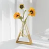 Vasi Fioriera in ferro con vaso in vetro Ornamento da tavolo Cornice in metallo geometrico dorato Portabottiglie Porta piante idroponico