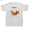 Anatomie drôle d'un écureuil Creative T-shirts Graphique Coton Streetwear À Manches Courtes Cadeaux D'anniversaire Pet Lover T-shirt Hommes L230520