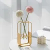 Vasi Fioriera in ferro con vaso in vetro Ornamento da tavolo Cornice in metallo geometrico dorato Portabottiglie Porta piante idroponico