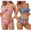 Hamnalık Yüzme Ekose Seksi Hamile Kadınlar Tankinis Set Premama Giysileri Annelik Mayo Plaj Giyim Plus Boyut Gebelik Mayo Yemeği T230607