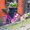 Leaseshes Outdoor Bicycle Dog Walker تنفيذ نايلون ركوب الخيل يؤدي الحبل إلى الإكسسوارات المتينة الإكسسوارات الإرشاد إرسال قضيب التمديد