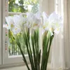 Fiori decorativi 5pcs Seta finta dell'esposizione del fiore artificiale dell'iride bianca per la decorazione domestica di nozze