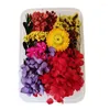 装飾的な花は樹脂型のために乾燥してろうそくを作る本物の花の詰め物ネイルアートホームクラフトキャスティング