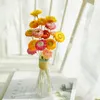 Decoratieve Bloemen Natuurlijke Gedroogde Chrysant Bloem Hoofd Uitgekozen Eternell Daisy Voor Bruiloft Woondecoratie DIY Arrangement Deoration