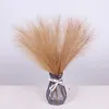 Flores decorativas 3pc Pampas Artificiais Grama Bouquet Flor Falsa Reed Casamento Decoração Da Casa Acessórios Do Quarto Fundo