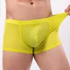 Caleçon hommes Sexy maille Boxer troncs voir à travers les sous-vêtements mâle respirant culotte Transparent Shorts poche bombée culotte