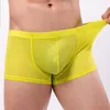 Underpants Men Sexy Mesh Boxer Trunks See Through Underwear Male Breathable Panties Transparent Shorts Bulge Pouch Knicker