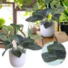 Carpets 1PC Plants Potted Artificial In Pot Green Bonsai With White Round Flattened Flowers