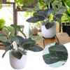 Tapis 1 PC Plantes En Pot Artificielles En Pot Bonsaï Vert Avec Des Fleurs Blanches Rondes Aplaties