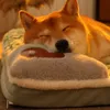 冬の豪華なパッドのための犬小屋のペン犬マット小さな中型犬格子縞のベッド猫綿毛睡眠洗浄可能な洗えるペット230606