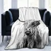 Couvertures Vache Imprimer Couverture Noir Blanc Lit Vache Jeter Couvertures Doux Canapé Confortable Chaud En Peluche Cadeaux pour Chambre Décor Highland Cattle Couvre-lit 230606