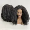 Malaisienne Vierge de Cheveux Humains Couleur Naturelle Kinky Curl 150% Densité 13x4 Avant Dentelle Perruques pour Femme Noire