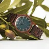 손목 시계 Dodo Deer Fashion Watches Women Wood Ladies Japenese 2035 Quartz Luxury Designer Wristwatch Female Roman Gift Dropship