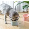 100pcsハイネックガードスローフードボウル保護脊椎を掃除する簡単な清掃の高いキャットフードペットネックガード高ボウルペットフィーダープラスチック犬用