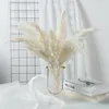 Fleurs décoratives 5pcs naturel séché eau pampa herbe moelleux bouquet mariage décorer foin pour fête bohème noël maison table décor