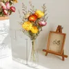 装飾的な花天然乾燥菊の花の頭の手で、結婚式の家の装飾のためのエターネルデイジー
