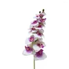 Fleurs décoratives à fleurs artificielles Orchidées Plantes