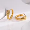 Brincos de argola argolas de cobra delicadas para mulheres hipoalergênicas minimalistas cor de ouro zircônia cúbica animal moda joias presente