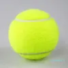تدريب رياضي جديد في الهواء الطلق بطولة كرات التنس الأصفر في الهواء الطلق ممتع الكريكيت شاطئ الكلاب الرياضية كرة التنس لصالح