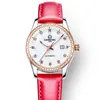 Montres-bracelets suisse carnaval femmes montres dames automatique montre mécanique étanche Relogio Feminino 8685L-8