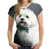 Hip Hop Sportwear Punk Casual Summer Woman Cool Print The Animal Lovely Dog 3d T-shirt016