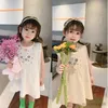 女の子のドレスサマーガールズドレス刺繍小さな新鮮なノースリーブベストシンプルな花ベビーキッズ服プリンセスパーティーチャームベスティドス