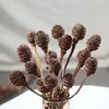 Fleurs décoratives 3pcs / 20-35cm Narural Fleur Séchée Spirale Branche Forêt Bouquet DIY Nordique Fête De Mariage Décoration De La Maison Guirlande Sèche