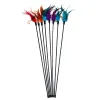 Nowa zabawka kota Pióro Wand Kittot Teaser Teaser Turkey Feather Interactive Stick Toy Wire Chaser Wand Toy Losowy kolor