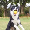 Juguete de goma para perros, pelota sólida elástica, juguete para perros, rechinar los dientes, entrenamiento interactivo, pelota para mascotas