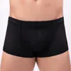 Underpants Men Sexy Mesh Boxer Trunks See Through Underwear Male Breathable Panties Transparent Shorts Bulge Pouch Knicker