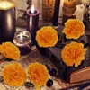 Dekorativa blommor konstgjorda ringblommor Silkduk Marigolds Decoration Set Orange Carnation Decorations For Festival Backdrop Party