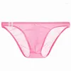 Slip Sexy sous-vêtements hommes Transparent Ultra-mince culotte hommes respirant voir à travers slips mâle maille été Slip