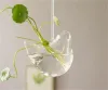 Originalitet Bird Shape Vase Hydroponics Suspension Transparent Flower Pot Glass Hanging Water Plant Flowerpot Home Decor Creative 8CS JJ