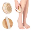 Brosse corporelle pour brossage humide ou sec Poils naturels avec nœuds de massage Exfoliant doux Améliorer la circulation JN08