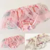Onderbroek Mannen Vrouwen Slips Sexy Lingerie Ondergoed Chiffon Sissy Pouch Lace T-back String Laagbouw Transparante Gays Kleding 2023