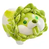 Poupées en peluche 5cm26cm mignon japonais légumes chien jouets en peluche créatif chou chinois 230608