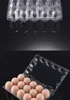 720pcs 공장 도매 15 구멍 계란 용기에 대 한 방제 계란 트레이를위한 투명 플라스틱 포장 상자