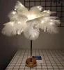 Bordslampor LED Feather Night Light Battery Box USB Dual-Purpose Room Decoration Bedroom Creative Gift Lamp