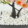 Garden Decorations Natural Pebbles Flower Bonsai Stone Small Pot Succulent Plant Fish Tank Stones Outdoor Gravel Vase Dekorativ 230607