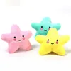 1PC Creative Cartoon Plush Dog Star Star Shape Odporny na kęs zwierzaka zabawki dla zwierzaka piszczące zabawki dla kota