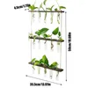 Vases Hanging Glass Vase Wall Planter Terrarium Container Rack Indoor For Home Garden Decor