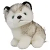 20 cm lebensechte niedliche Husky-Hunde-Plüschtiere, weiches Stofftier, Kawaii-Kinderspielzeug, Geburtstagsgeschenk für Mädchen, Cartoon-flauschiges Hundespielzeug