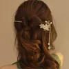 Other 2023 New Female Flower Fringe Hairpin Ponytail Back of The Head Coiffure Fashionable Hair Accessories Headdress R230608